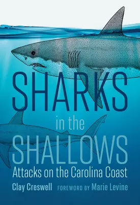 Les requins dans les bas-fonds : Attaques sur la côte de Caroline - Sharks in the Shallows: Attacks on the Carolina Coast