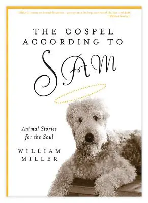 L'Évangile selon Sam : Histoires d'animaux pour l'âme - The Gospel According to Sam: Animal Stories for the Soul