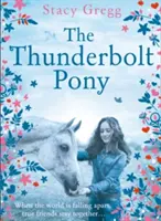 Le poney du tonnerre - The Thunderbolt Pony