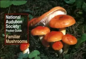 Guide de poche de la National Audubon Society : Champignons familiers - National Audubon Society Pocket Guide: Familiar Mushrooms