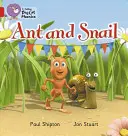 Fourmi et escargot - Ant and Snail