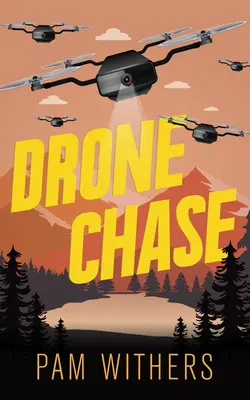 Chasse au drone - Drone Chase