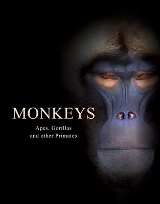 Singes : Singes, gorilles et autres primates - Monkeys: Apes, Gorillas and Other Primates