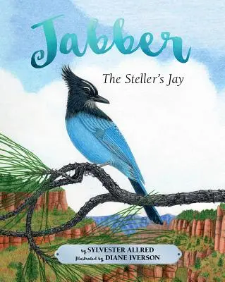 Jabber, le geai de Steller - Jabber the Steller's Jay