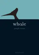 Baleine - Whale