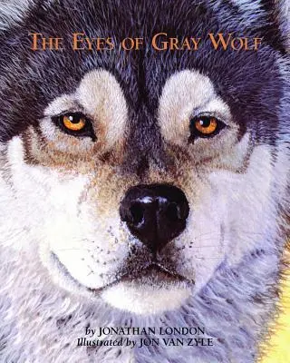 Les yeux du loup gris - The Eyes of Gray Wolf