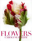 Fleurs - Flowers