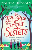 La chute et l'ascension des sœurs Amir - The Fall and Rise of the Amir Sisters