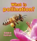 Qu'est-ce que la pollinisation ? - What Is Pollination?