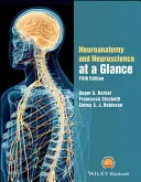 Neuroanatomie et neurosciences en un coup d'œil - Neuroanatomy and Neuroscience at a Glance