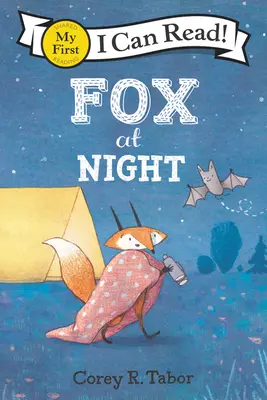 Renard la nuit - Fox at Night