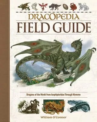 Guide de terrain de la Dracopédie : Les dragons du monde, des amphiptéridés aux wyvernés - Dracopedia Field Guide: Dragons of the World from Amphipteridae Through Wyvernae