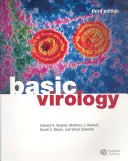Virologie de base - Basic Virology