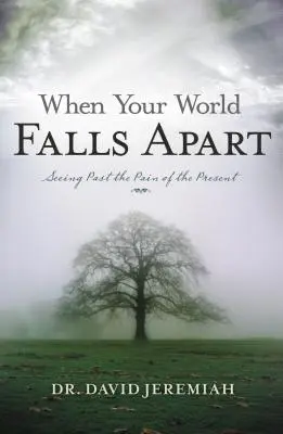 Quand votre monde s'écroule : Voir au-delà de la douleur du présent - When Your World Falls Apart: See Past the Pain of the Present