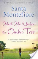 Rendez-vous sous l'arbre Ombu - Meet Me Under the Ombu Tree