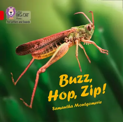 Buzz, Hop, Zip ! Big Book - Band 02a/Red a - Buzz, Hop, Zip! Big Book - Band 02a/Red a