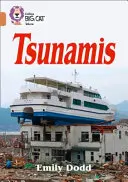 Tsunamis - Bande 12/Cuivre - Tsunamis - Band 12/Copper