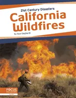 Incendies de forêt en Californie - California Wildfires