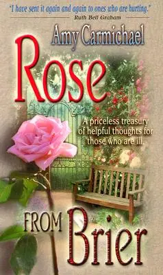 La rose des ronces - Rose from Brier