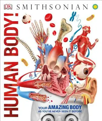 Le corps humain&nbsp;! - Human Body!