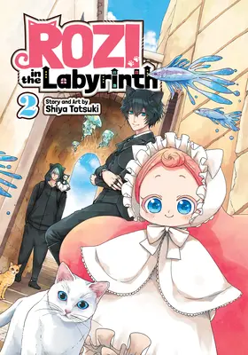 Rozi dans le labyrinthe Vol. 2 - Rozi in the Labyrinth Vol. 2