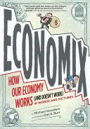 Economix : Comment notre économie fonctionne (et ne fonctionne pas), en mots et en images - Economix: How Our Economy Works (and Doesn't Work), in Words and Pictures