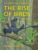 L'avènement des oiseaux : 225 millions d'années d'évolution - The Rise of Birds: 225 Million Years of Evolution