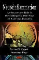 Neuroinflammation - Un rôle important dans les voies pathogènes de l'ischémie cérébrale - Neuroinflammation - An Important Role in the Pathogenic Pathways of Cerebral Ischemia