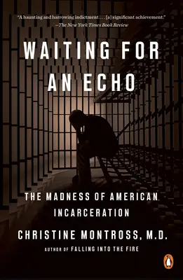 En attente d'un écho : La folie de l'incarcération américaine - Waiting for an Echo: The Madness of American Incarceration