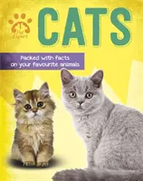 Expert en animaux de compagnie : chats - Pet Expert: Cats