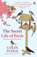 La vie secrète des oiseaux - Qui sont-ils et que font-ils ? - Secret Life of Birds - Who they are and what they do