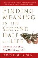 Trouver un sens à la seconde moitié de la vie : Comment grandir enfin, vraiment ? - Finding Meaning in the Second Half of Life: How to Finally, Really Grow Up