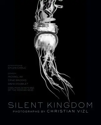 Le royaume du silence : Un monde sous les vagues - Silent Kingdom: A World Beneath the Waves