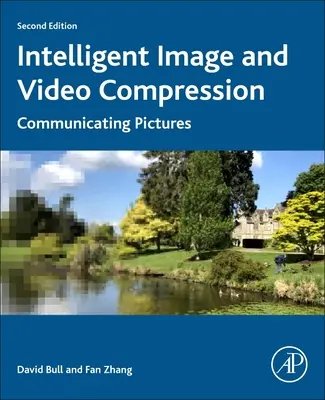 Compression intelligente d'images et de vidéos : Communiquer des images - Intelligent Image and Video Compression: Communicating Pictures