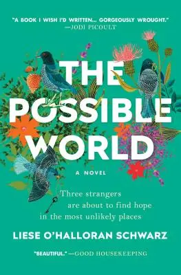 Le monde possible - The Possible World