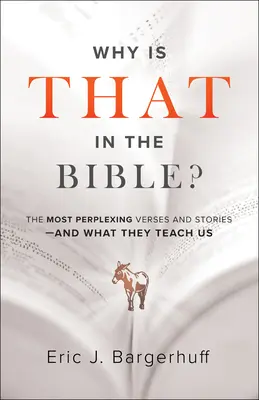 Pourquoi cela se trouve-t-il dans la Bible ? Les versets et les récits les plus déroutants - et ce qu'ils nous apprennent - Why Is That in the Bible?: The Most Perplexing Verses and Stories--And What They Teach Us