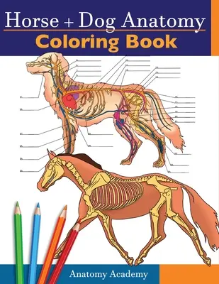 Livre de coloriage sur l'anatomie du cheval et du chien : 2-en-1 Compilation incroyablement détaillée de l'anatomie équine et canine Cahier de coloriage Cadeau parfait pour les vétérinaires - Horse + Dog Anatomy Coloring Book: 2-in-1 Compilation Incredibly Detailed Self-Test Equine & Canine Anatomy Color workbook Perfect Gift for Veterinary