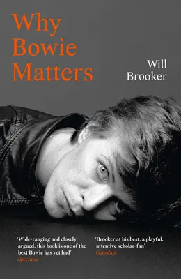 L'importance de Bowie - Why Bowie Matters