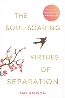 Les vertus de la séparation - 111 leçons pour guérir votre cœur et vous aider à voler - Soul-Soaring Virtues of Separation - 111 Learnings to Heal Your Heart and Help You Fly