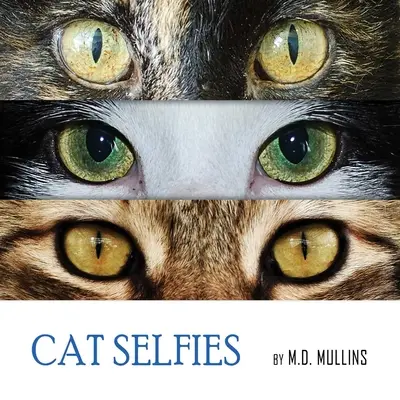 Selfies de chat - Cat Selfies