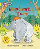 Oreilles d'éléphant - Elephant's Ears