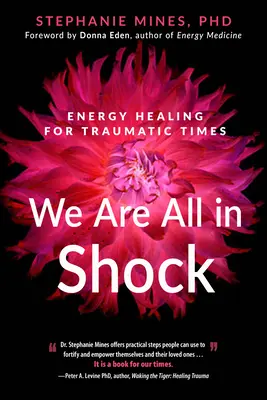 Nous sommes tous en état de choc : la guérison énergétique des périodes traumatisantes - We Are All in Shock: Energy Healing for Traumatic Times