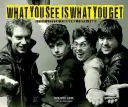 Ce que vous voyez est ce que vous obtenez : Les petits doigts raides 1977-1983 - What You See Is What You Get: Stiff Little Fingers 1977-1983