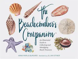 The Beachcomber's Companion : Un guide illustré pour collectionner et identifier les trésors de la plage (aquarelle, coquillages et livre de collection de coquillages, Bea - The Beachcomber's Companion: An Illustrated Guide to Collecting and Identifying Beach Treasures (Watercolor Seashell and Shell Collecting Book, Bea