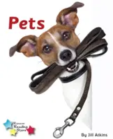 Animaux de compagnie - Pets