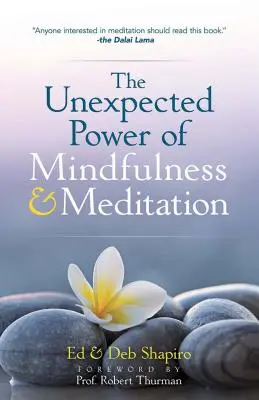 Le pouvoir inattendu de la pleine conscience et de la méditation - The Unexpected Power of Mindfulness and Meditation