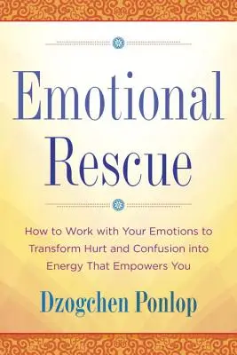 Emotional Rescue : Comment travailler avec vos émotions pour transformer la souffrance et la confusion en une énergie qui vous donne du pouvoir - Emotional Rescue: How to Work with Your Emotions to Transform Hurt and Confusion Into Energy That Empowers You