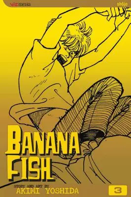 Banana Fish, Volume 3