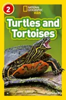 Tortues - Niveau 2 - Turtles and Tortoises - Level 2