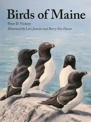 Les oiseaux du Maine - Birds of Maine